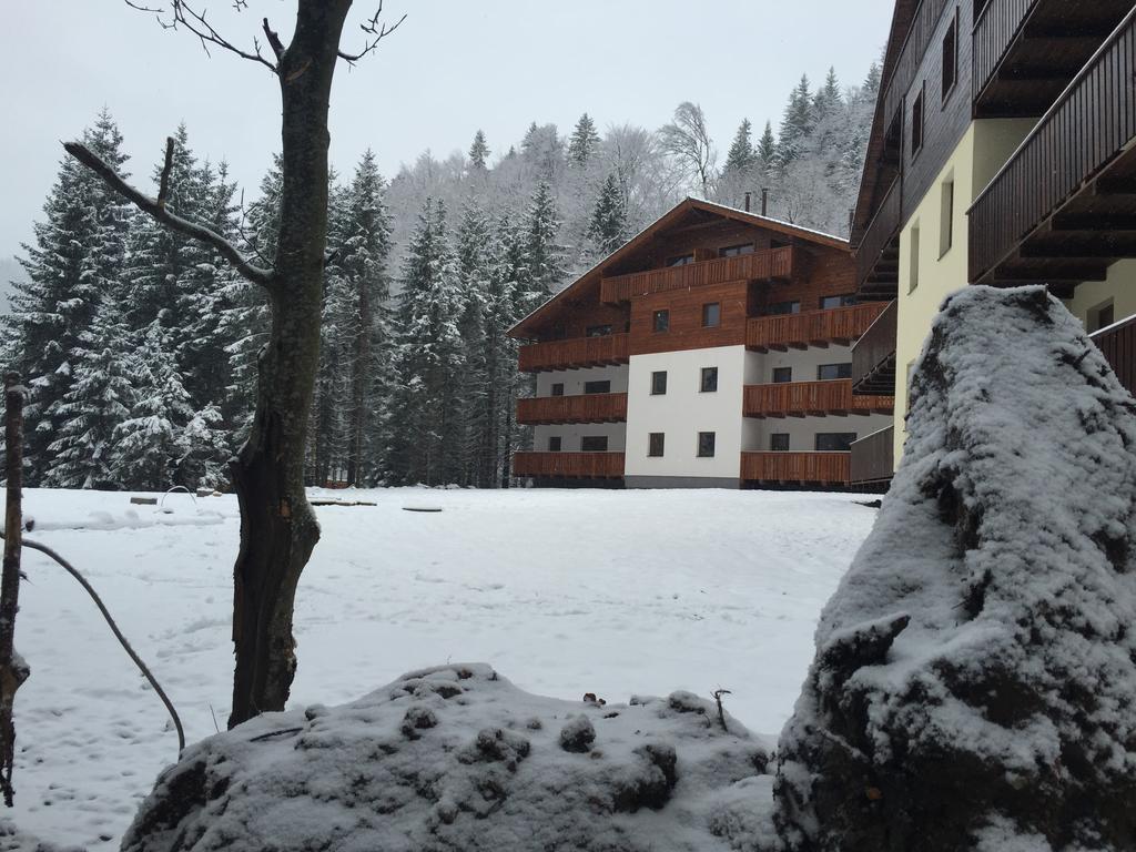 Apartman Chopok Juh Eva Tale Cameră foto